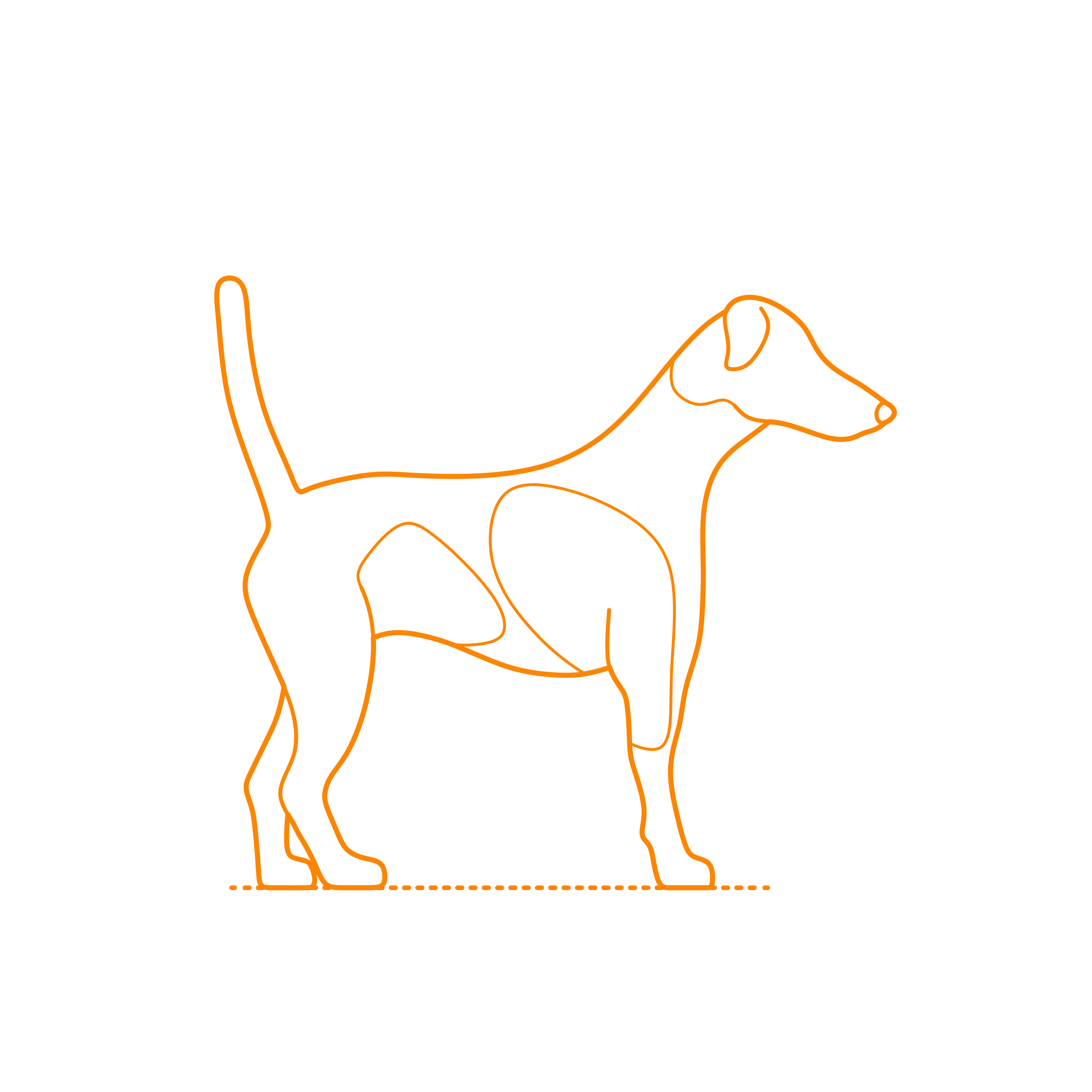 Animals Dogs Smooth Fox Terrier Contour Svg Vector Free Vectors